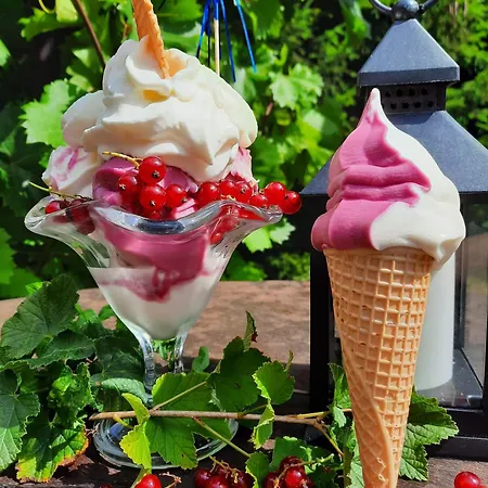 Ξενοδοχείο Zum Faehrhaus Πάρχιμ